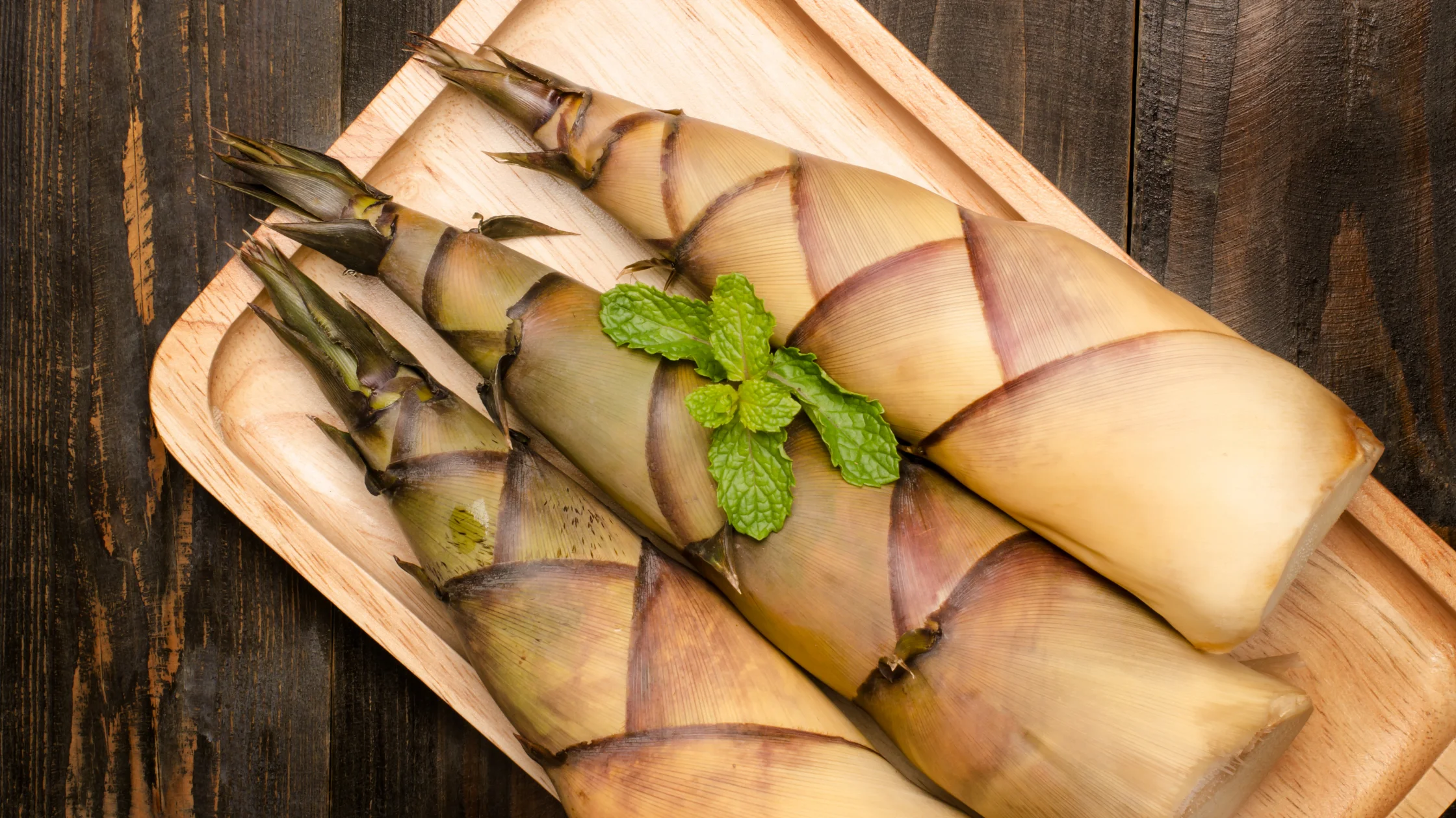 Can Dogs Eat Bamboo Shoots? A Comprehensive Guide