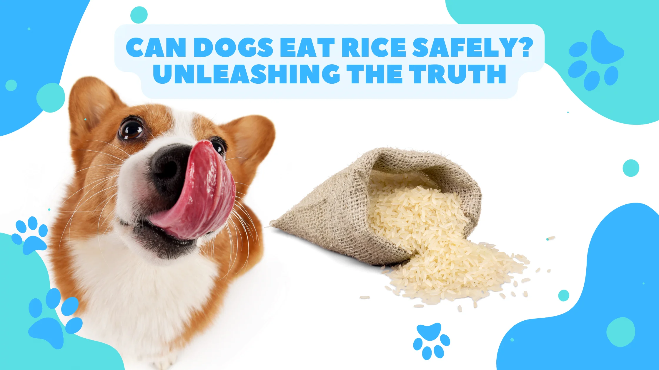 Can Dogs Eat Rice Safely? Unleashing the Truth