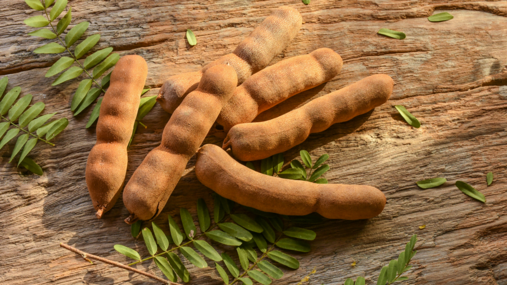 Can dogs eat Tamarind |