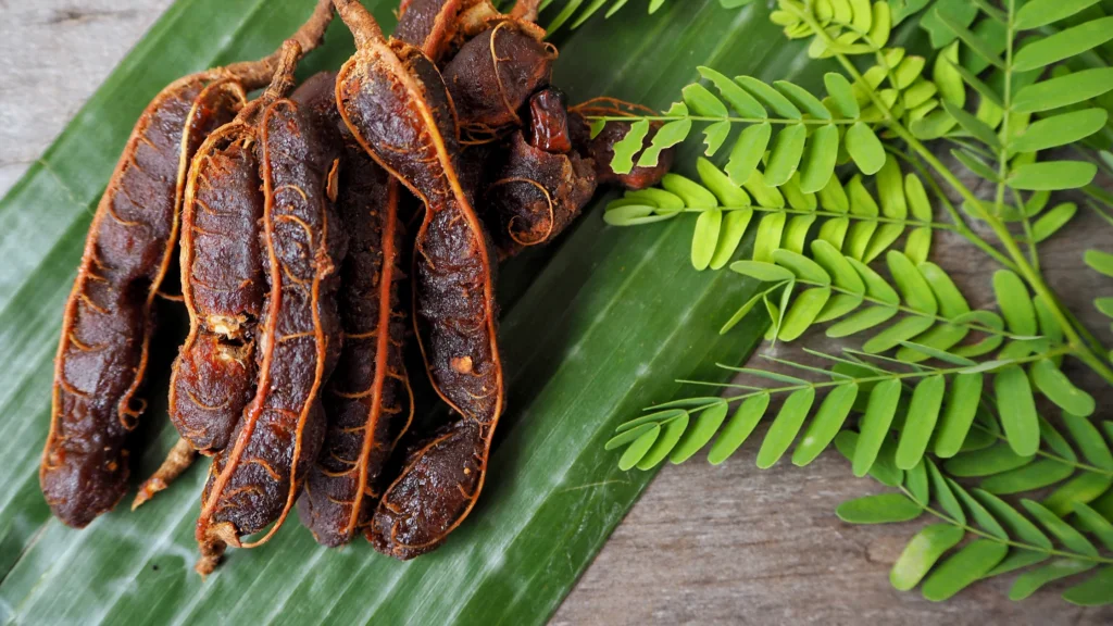 How to Feed Tamarind to Your Dog |