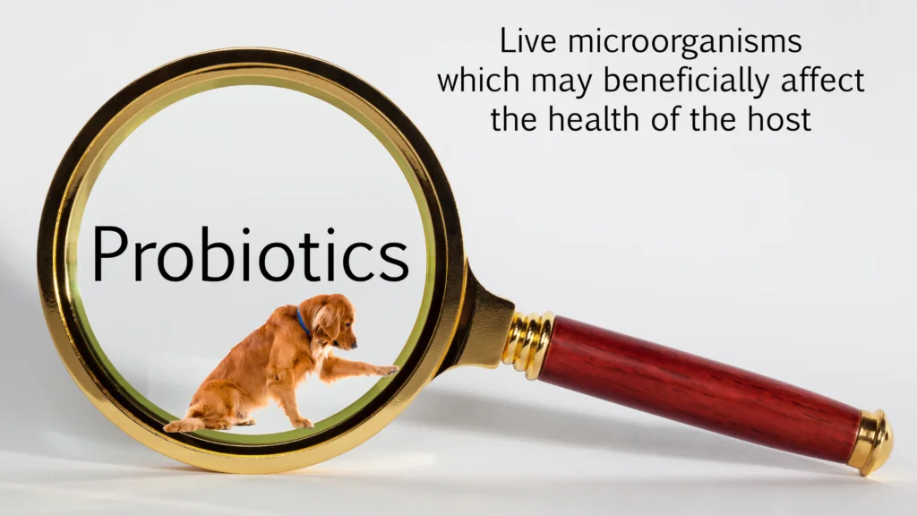 How to give Mycequin Probiotic for Dogs to your dog |