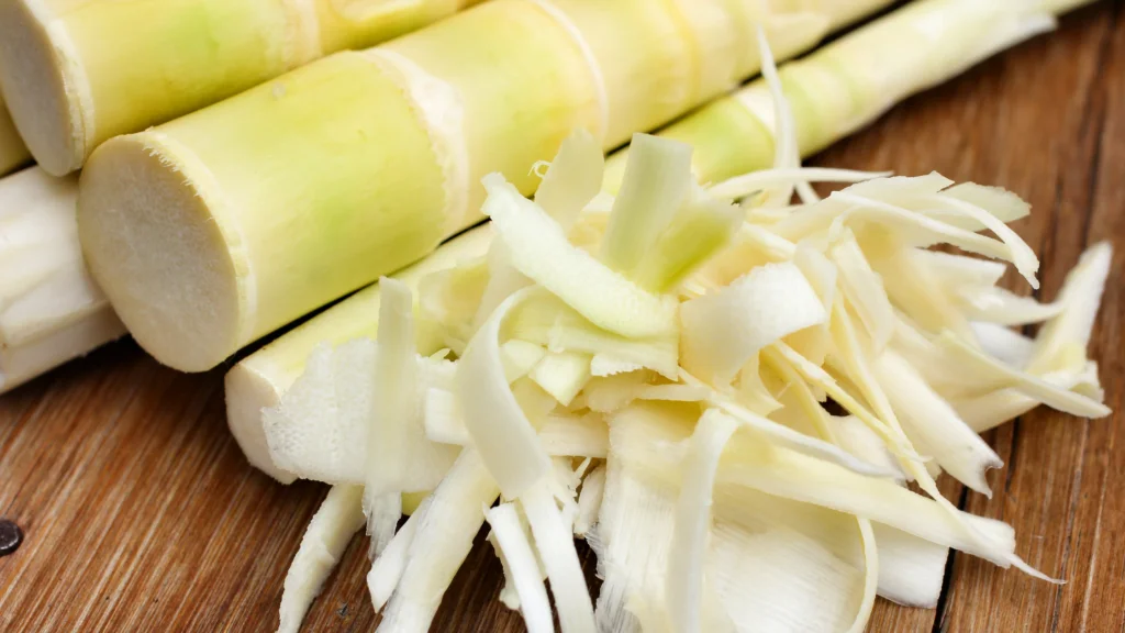 How to prepare bamboo shoots for dogs |
