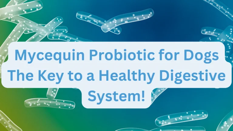 Mycequin Probiotic for Dogs The Key to a Healthy Digestive System!