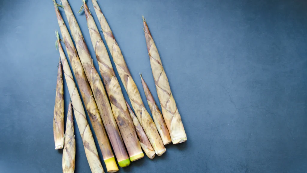 Tips for feeding bamboo shoots to dogs |