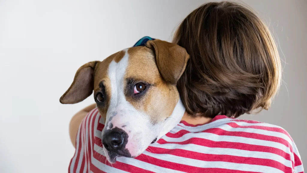 Ways to help cheer up a Dog from Depression |