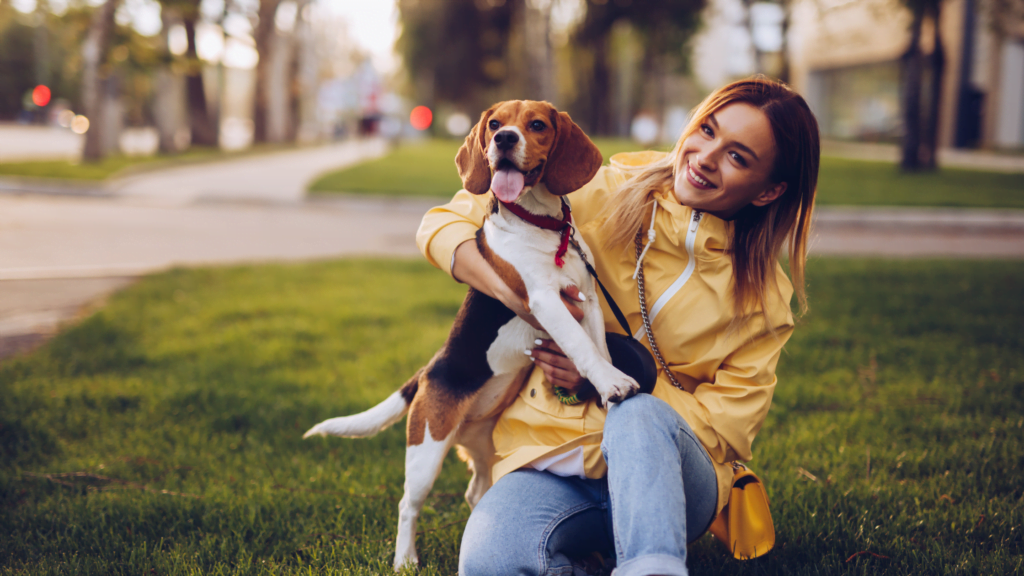 cheer up a dog from depression |