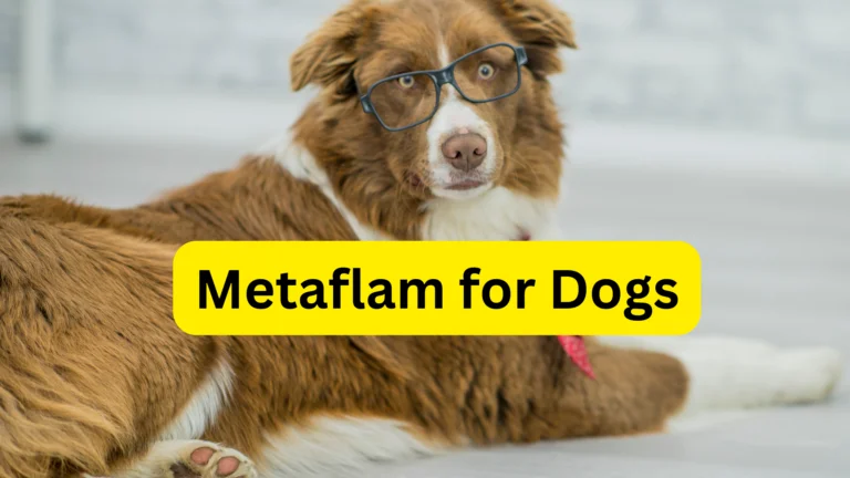 Metaflam for Dogs