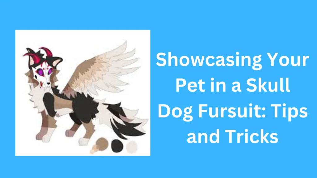 Showcasing Your Pet in a Skull Dog Fursuit Tips and Tricks |