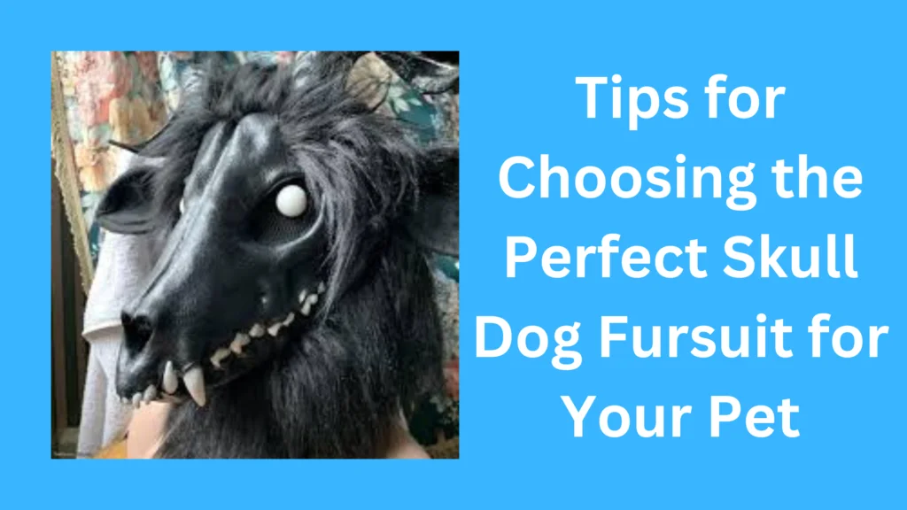 Tips for Choosing the Perfect Skull Dog Fursuit for Your Pet |