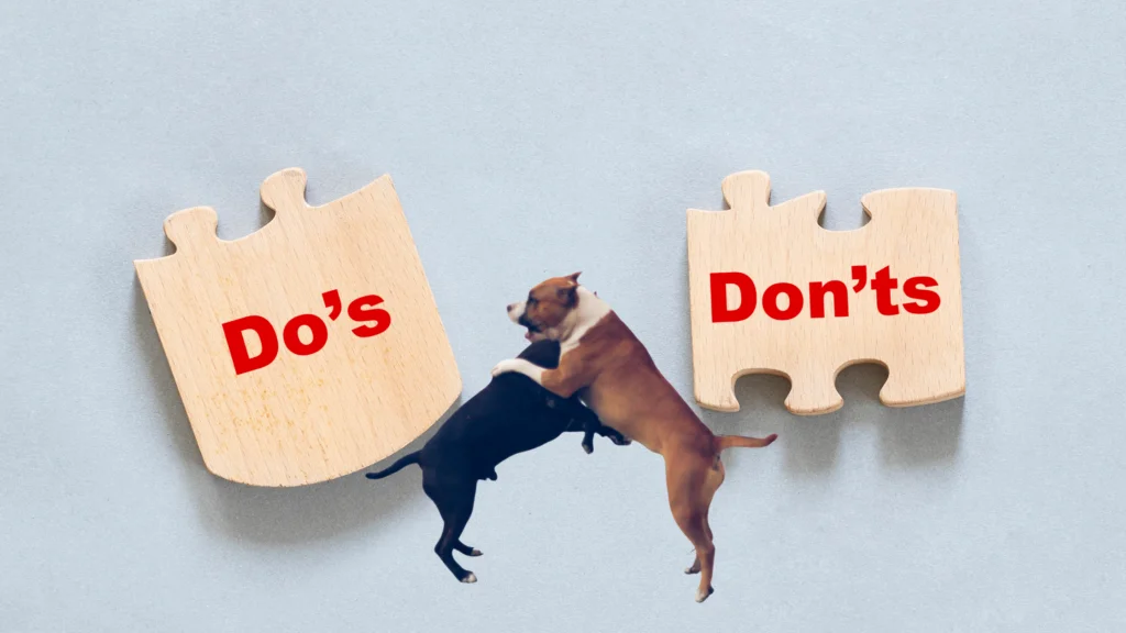 What to Do When Dogs are Fighting Dos and Donts |