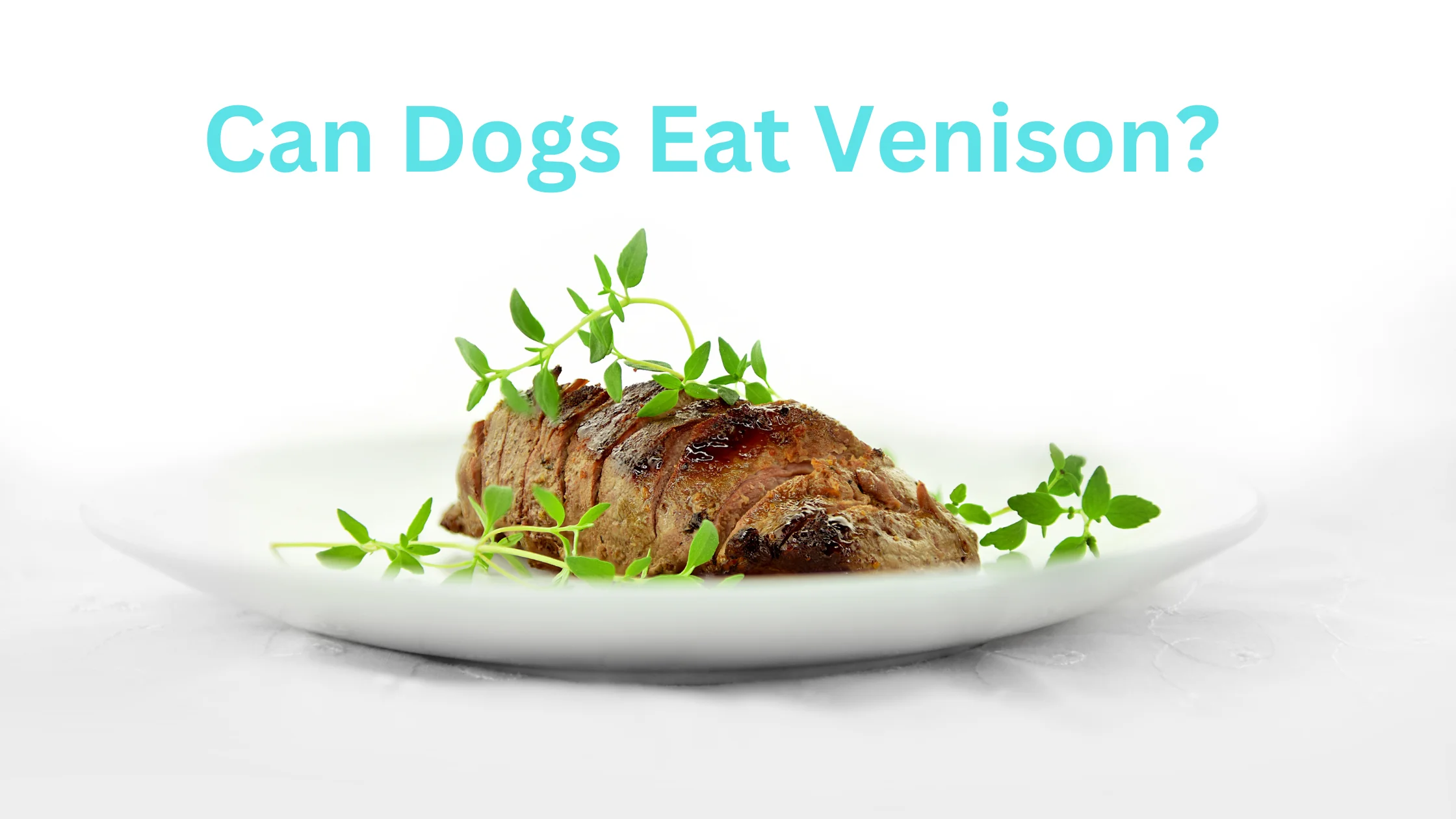 Can Dogs Eat Venison