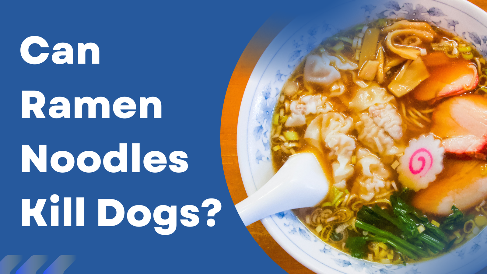 Can Ramen Noodles Kill Dogs