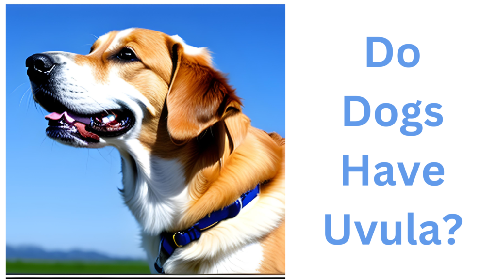 Do Dogs Have Uvulas? Unveiling The Mystery