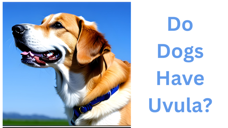 Do Dogs Have Uvulas