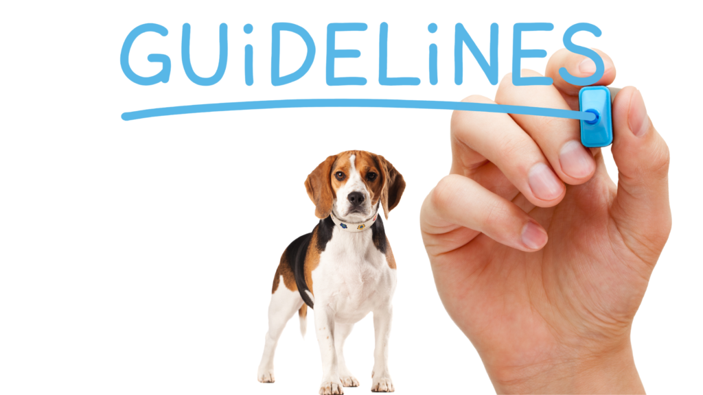 Dosage guidelines for salmon and pollock oil for dogs |