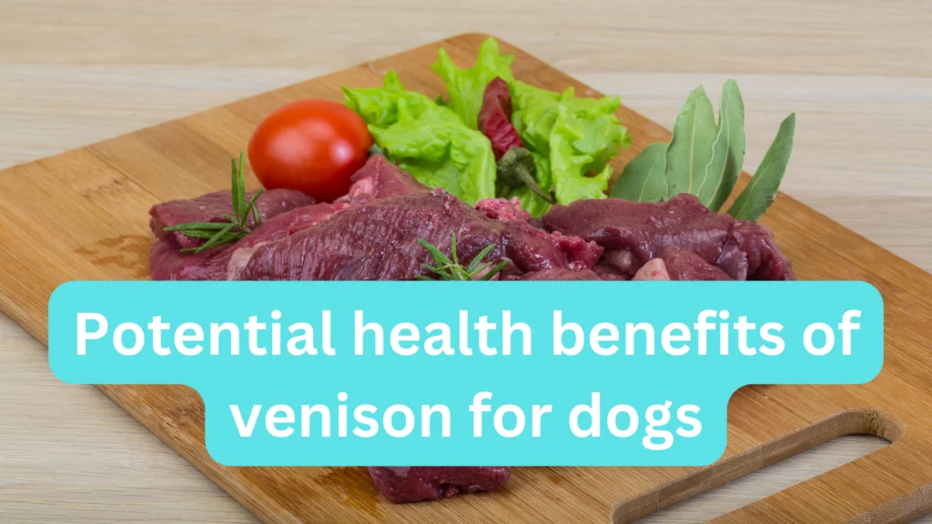 Potential health benefits of venison for dogs |