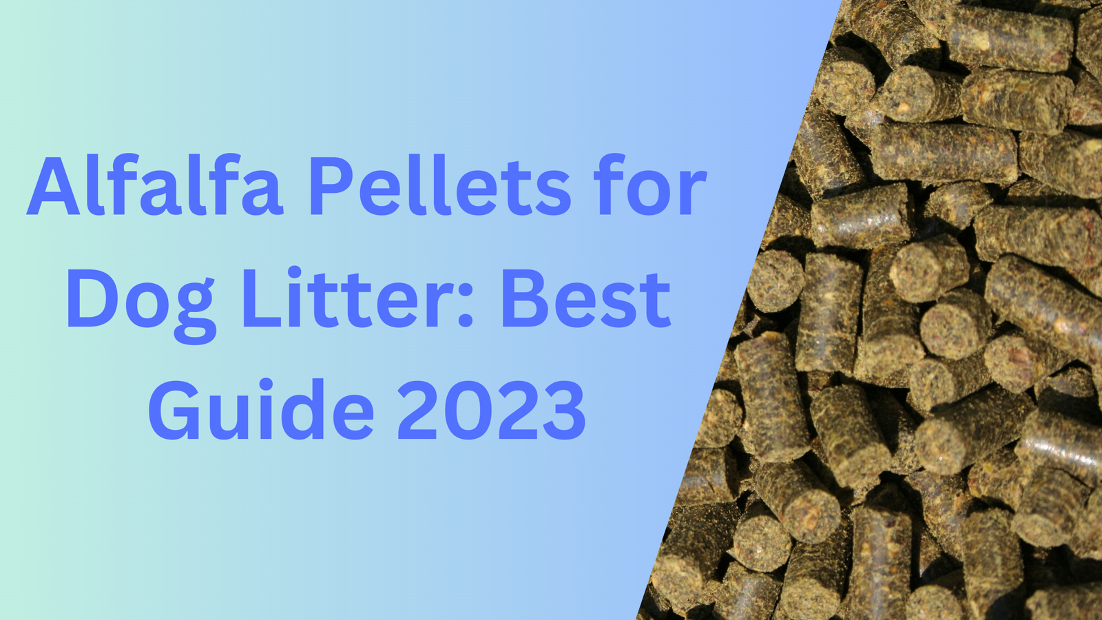 Alfalfa Pellets for Dog Litter: Best Guide 2023