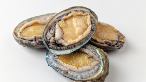 Can Dogs Eat Abalone