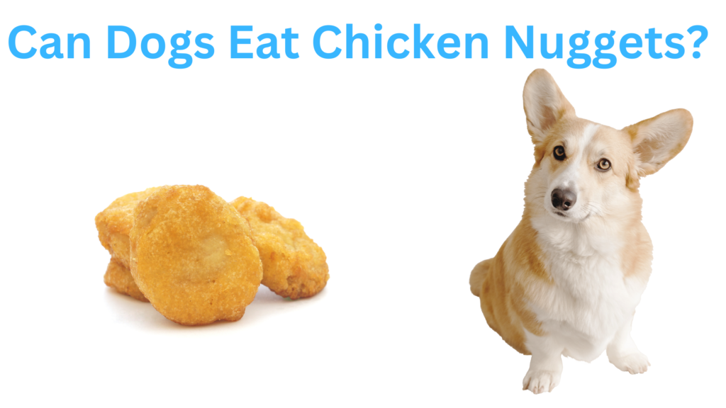 Can Dogs Eat Chicken Nuggets? 