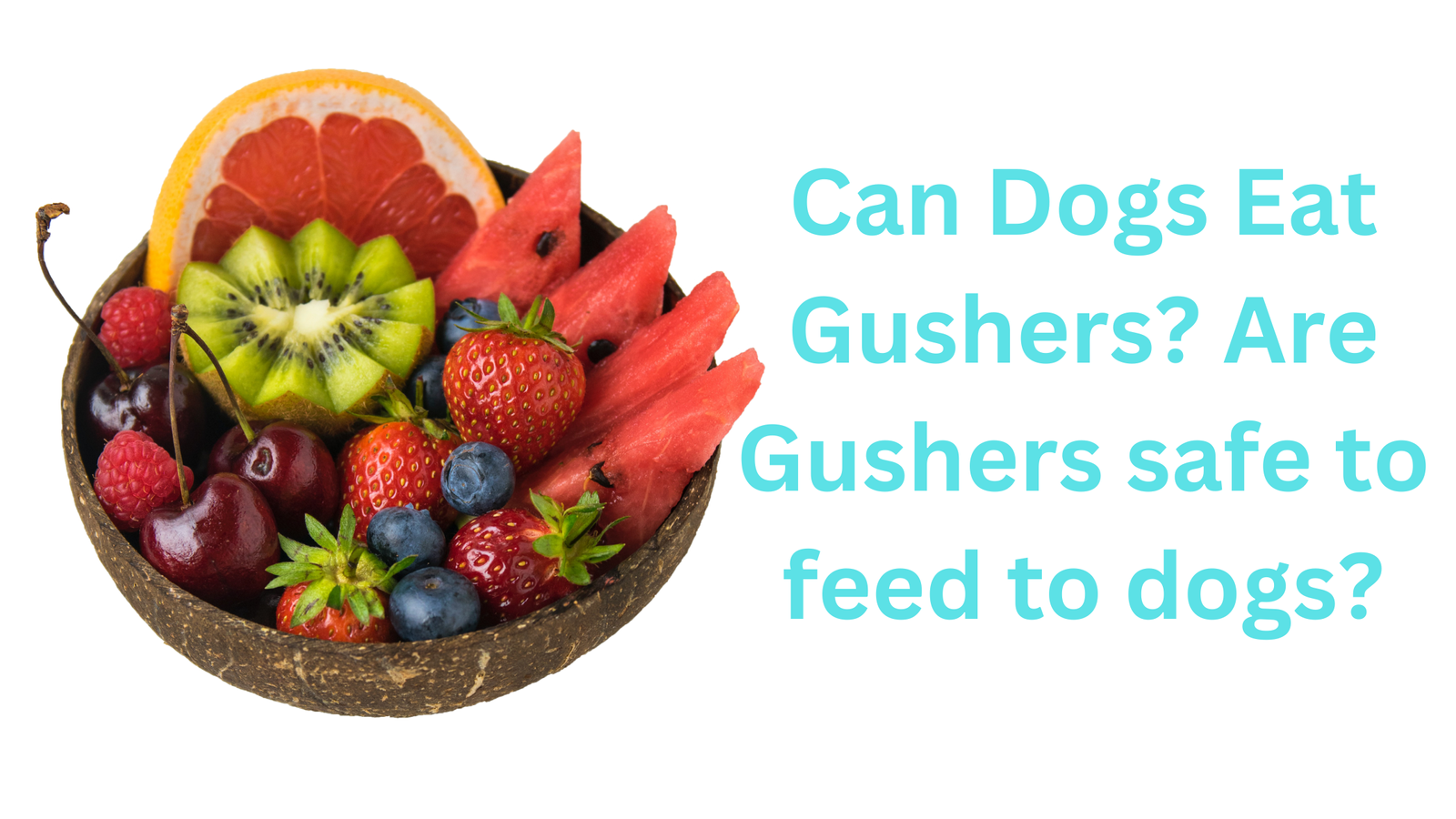 Can Dogs Eat Gushers? Are Gushers safe to feed to dogs?