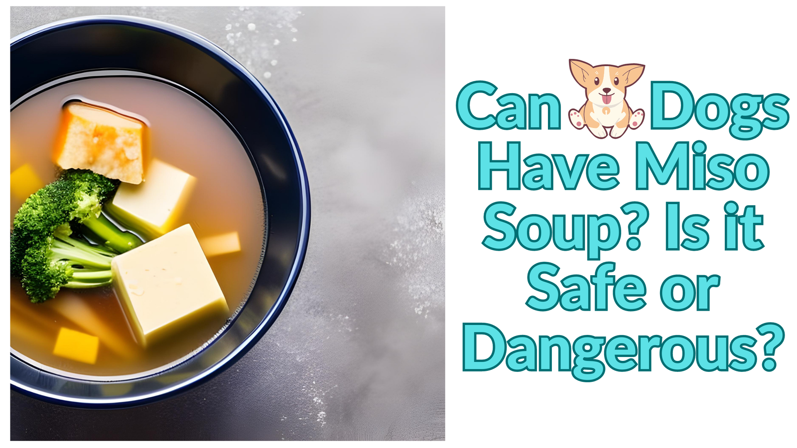 Can Dogs Have Miso Soup? Is it Safe or Dangerous?