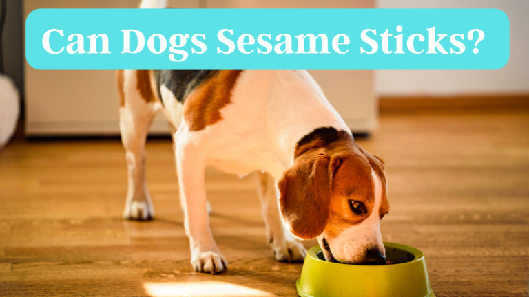 Can Dogs Sesame Sticks?