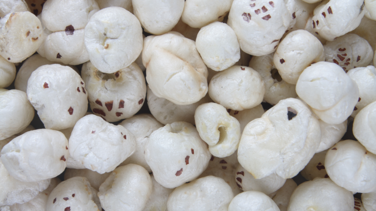 Can Dogs eat Makhana (Lotus Seeds)? Best Guide