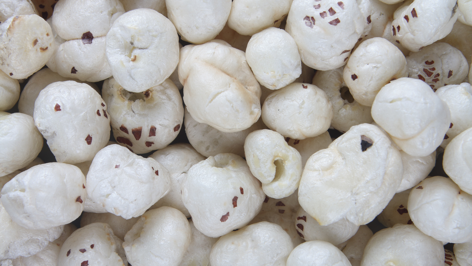 Can Dogs eat Makhana (Lotus Seeds)? Best Guide