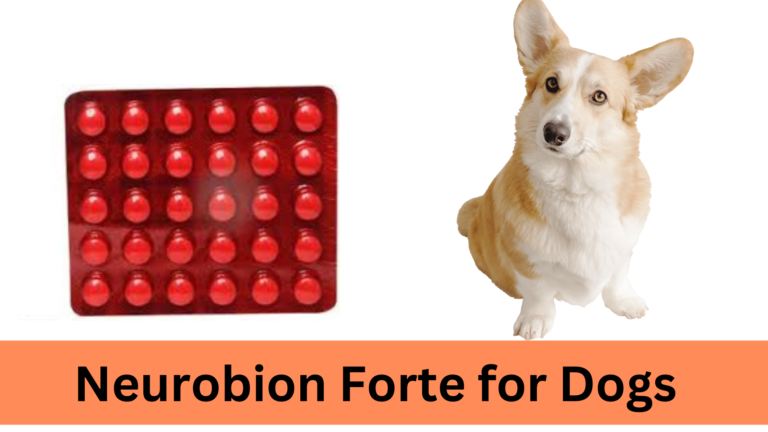 Neurobion Forte for Dogs