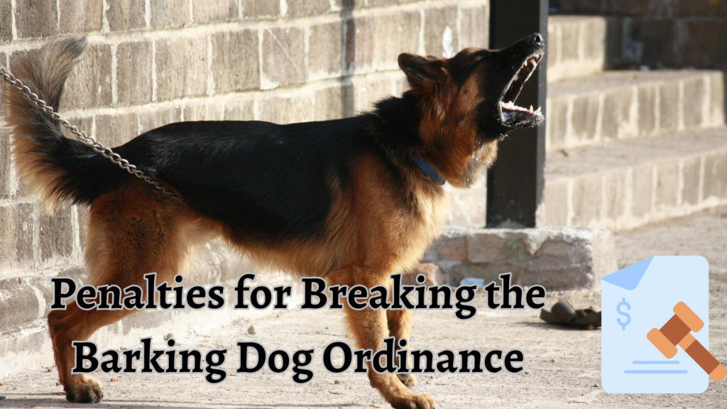 Penalties for Breaking the Barking Dog Ordinance |