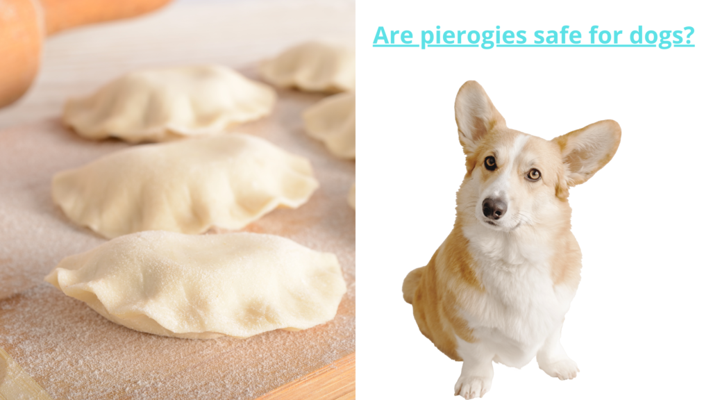 Can Dogs Eat Pierogies?