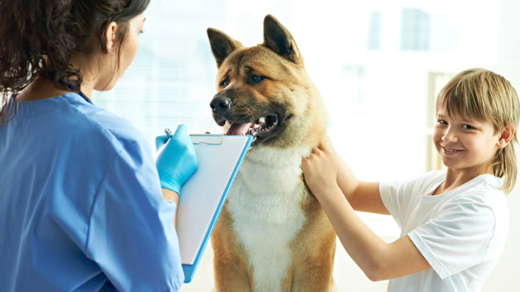 Treatment Options for Ingrown Dog Whiskers |