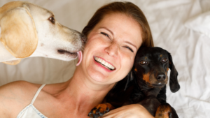 Why does my dog lick my Armpit? Is it safe for him?