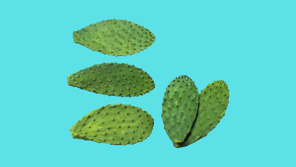 What Are Nopales?