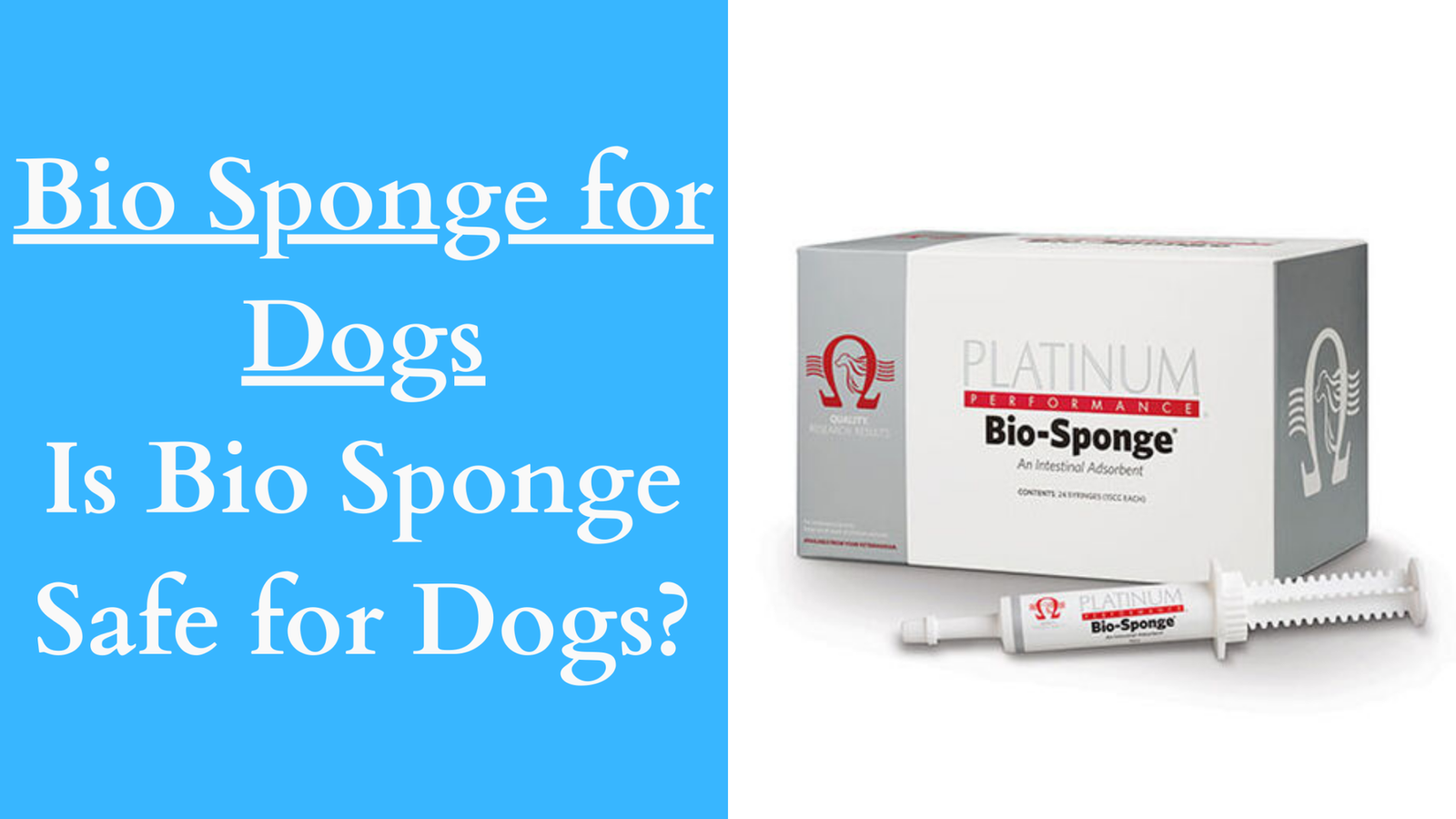 Bio Sponge For Dogs: Is Bio Sponge Safe For Dogs?