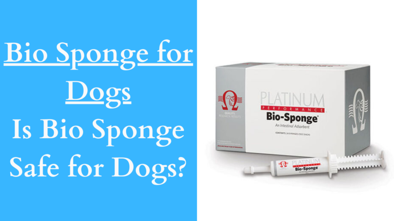 Bio Sponge for Dogs