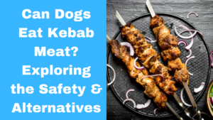 Can Dogs Eat Kebab Meat?