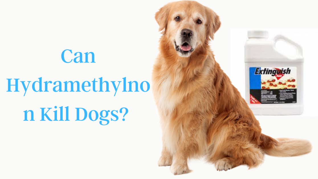 Can Hydramethylnon Kill Dogs