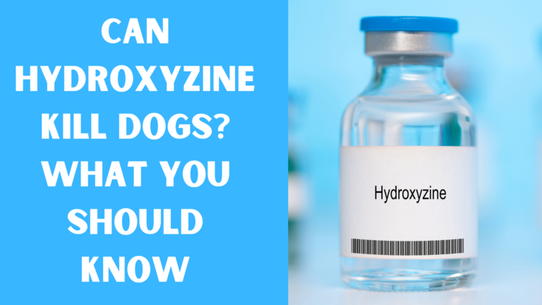 Can Hydroxyzine Kill Dogs