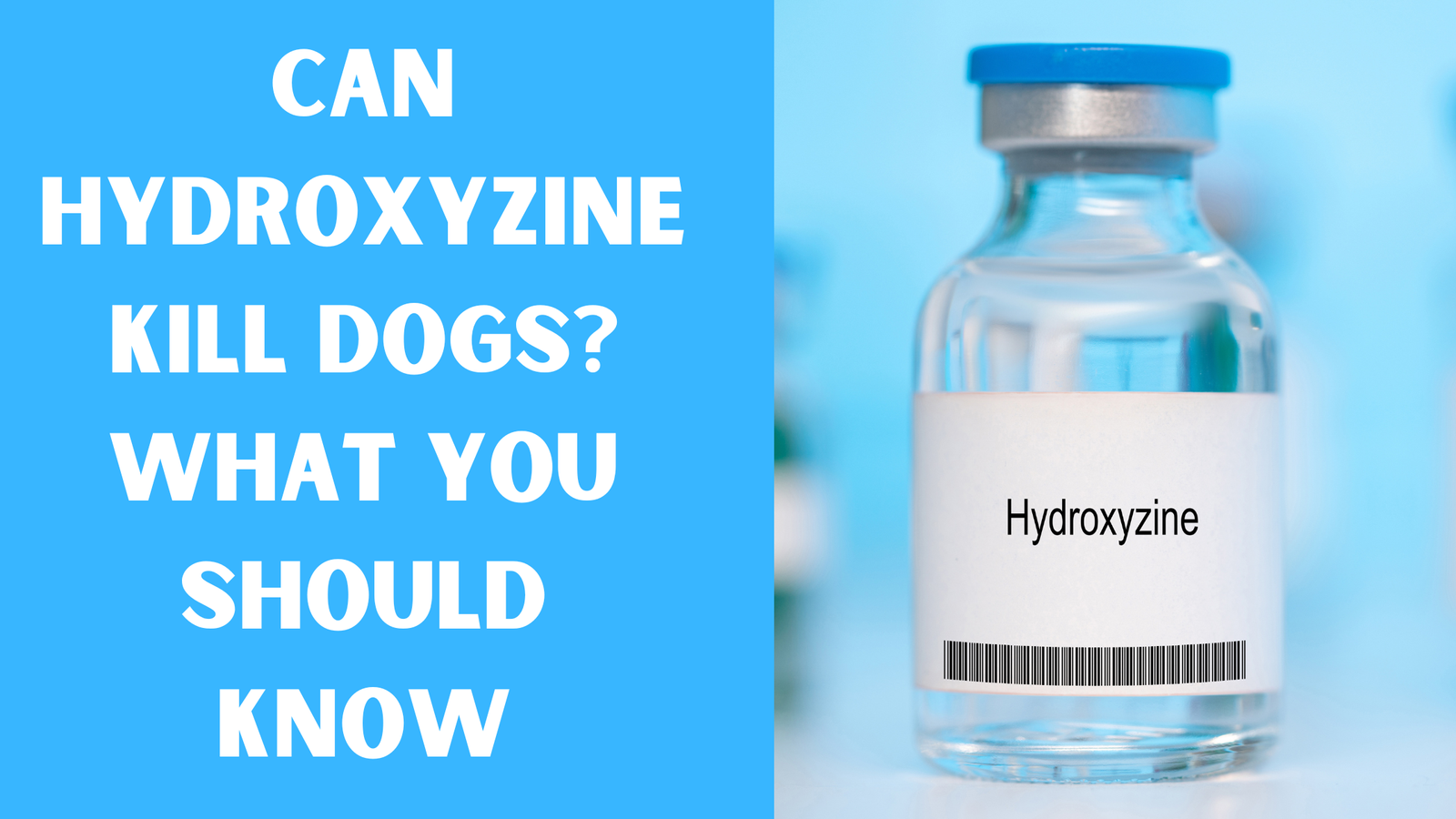 Can Hydroxyzine Kill Dogs