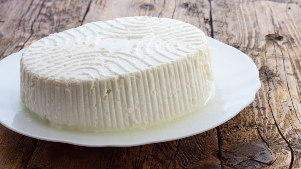 Can dogs eat ricotta cheese Is ricotta cheese good for dogs |