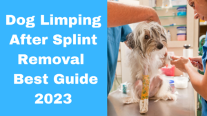 Dog Limping After Splint Removal