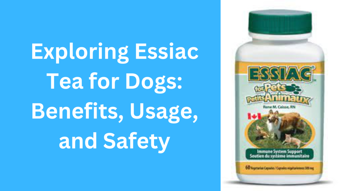 Essiac Tea for Dogs