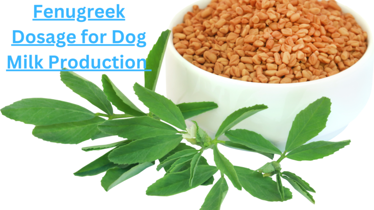 Fenugreek Dosage for Dog Milk Production