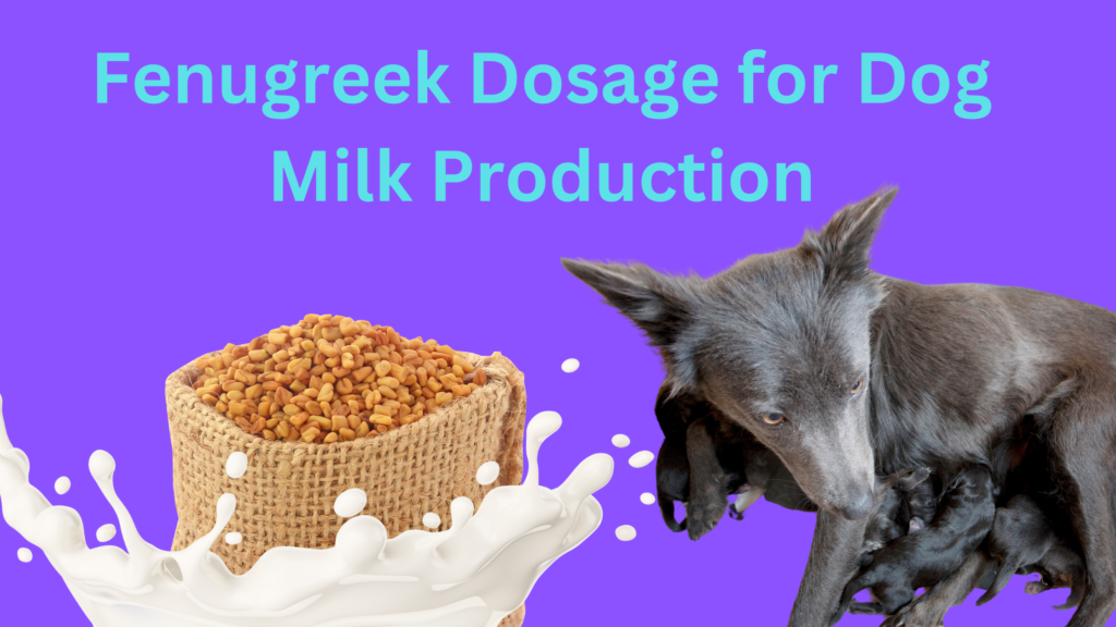 Determining the Correct Fenugreek Dosage for Dog Milk Production