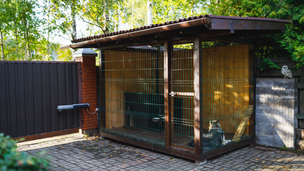 How to remove mosquitoes from a dog kennel |