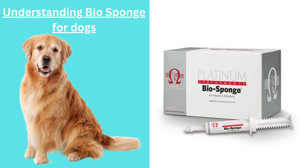 Understanding Bio Sponge for dogs