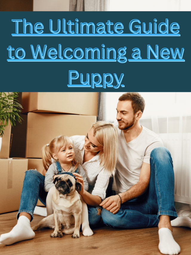 The Ultimate Guide to Welcoming a New Puppy