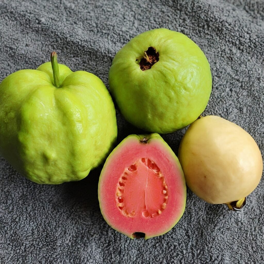 Apple Guava, Red Malaysian Guava and Tropical White Guava