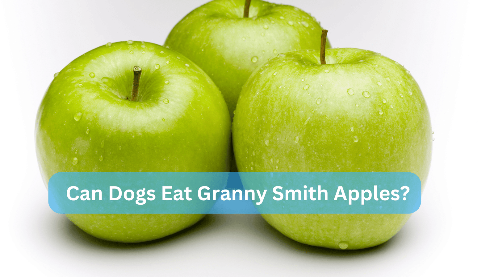 Can Dogs Eat Granny Smith Apples